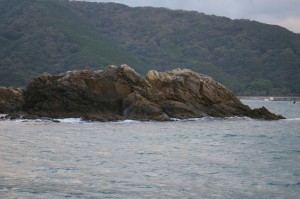 IMGP3865